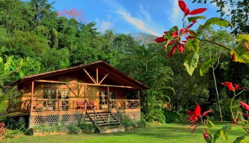 Tour oxapampa - pozuzo - La merced - Villa Rica - Selva central